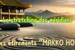 Formation en ligne aux étirements des méridiens ''Les étirements Makko Ho'' (81% de réduction) - Image 3