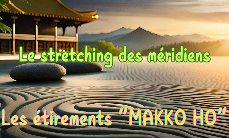 Image 3: Formation aux étirements des méridiens ''Les étirements Makko Ho''