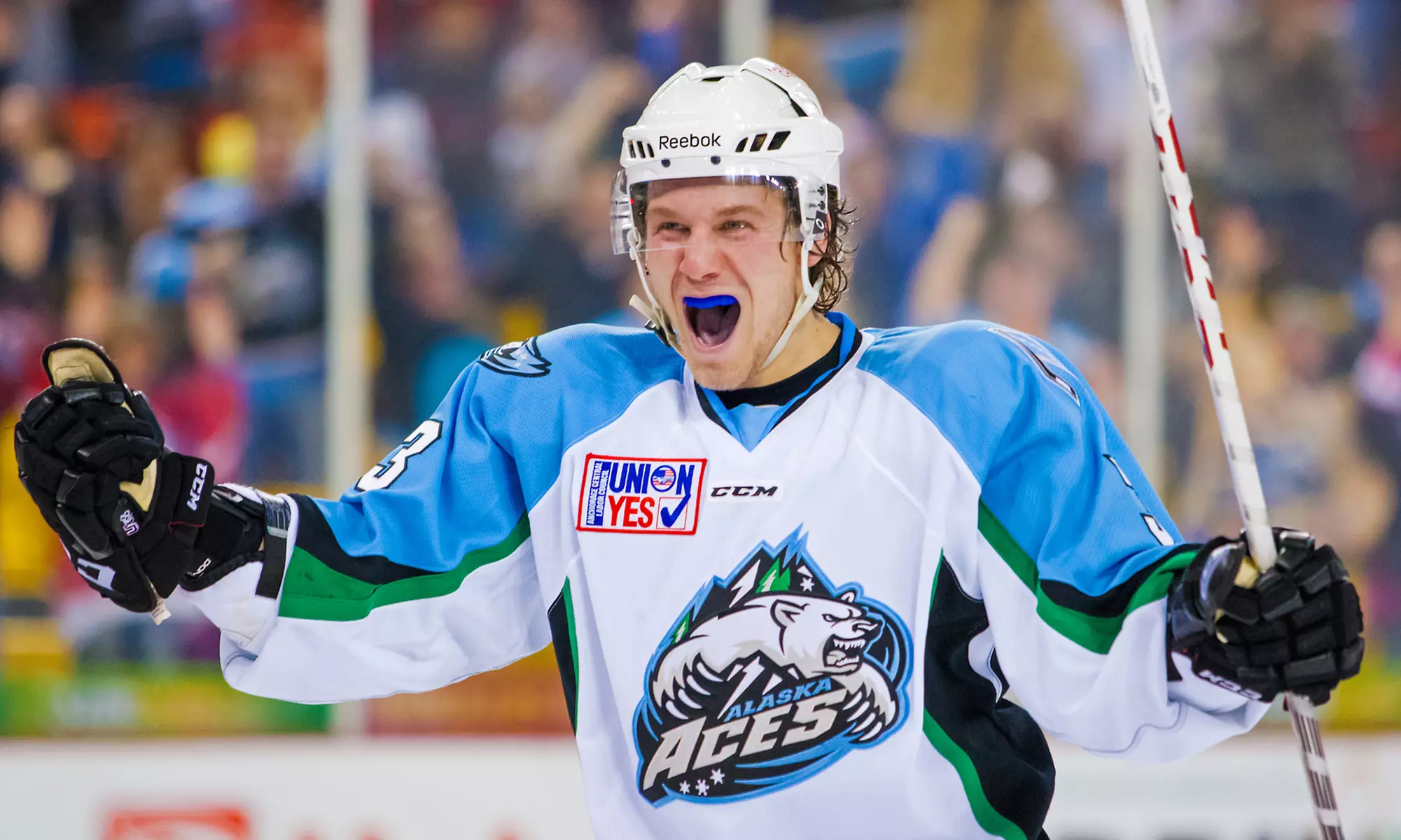 Alaska Aces Hockey Game for Two or Four at Sullivan Arena (Up to 54% Off). 14 Games Available. - Primary Image