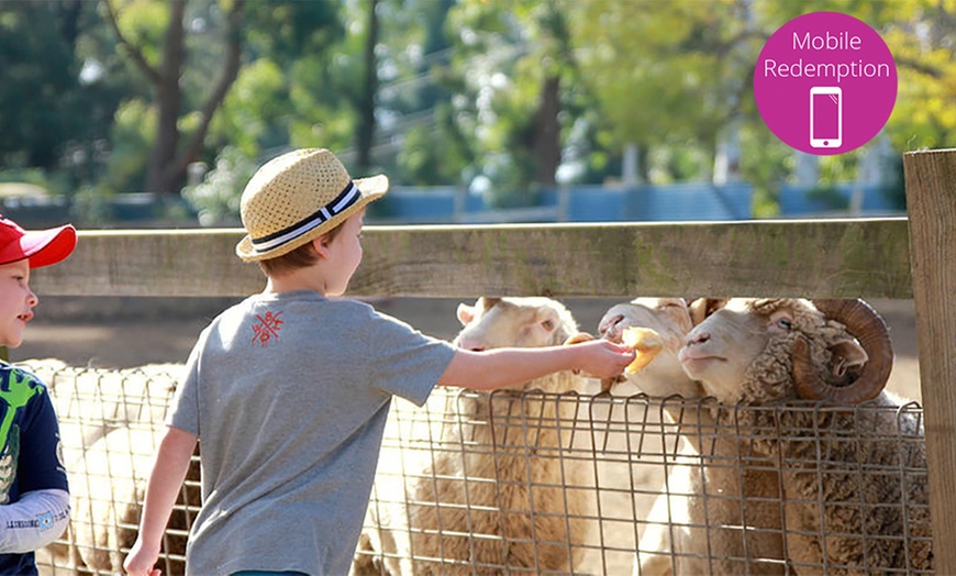 Image 1: Golden Ridge Animal Farm Entry