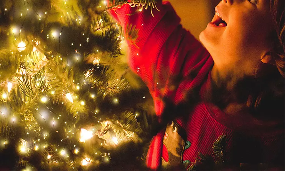 1 of 2 lichtslingers met ledlampjes