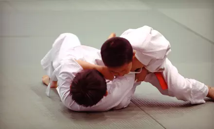 C$59 for Four Weeks of Team Evolution Brazilian Jiu-Jitsu Classes with One Private Lesson at Access MMA (C$180 Value) - Primary Image