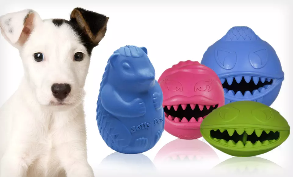 Hedgehog and Monster Ball Pet Toys (Up to 73% Off). Multiple Toys and Sizes Available. - Primary Image