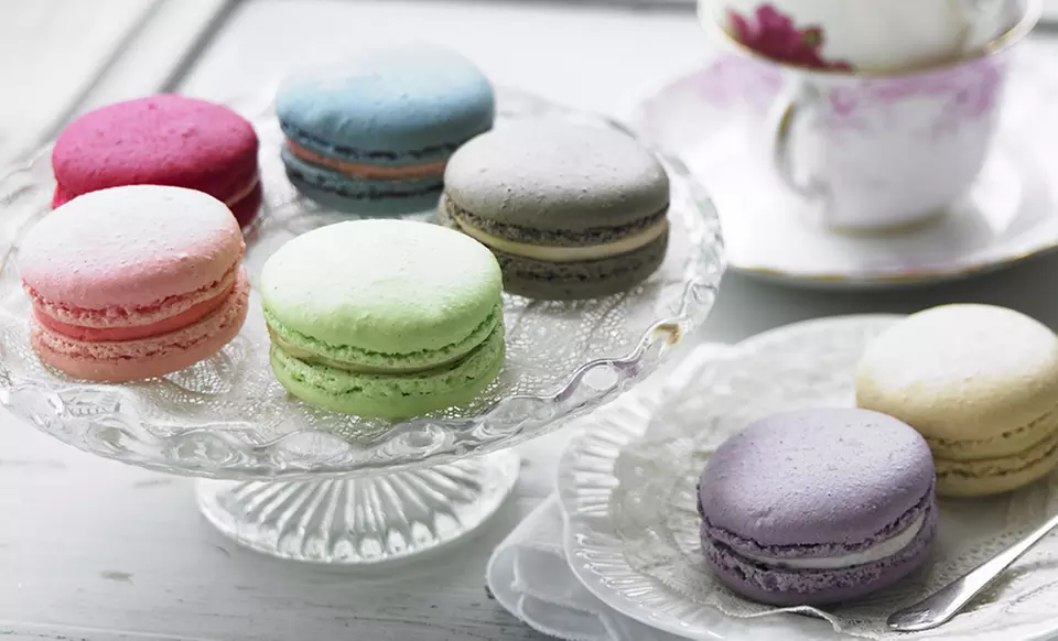 Two Elephants Macaron Kit - Second Medium