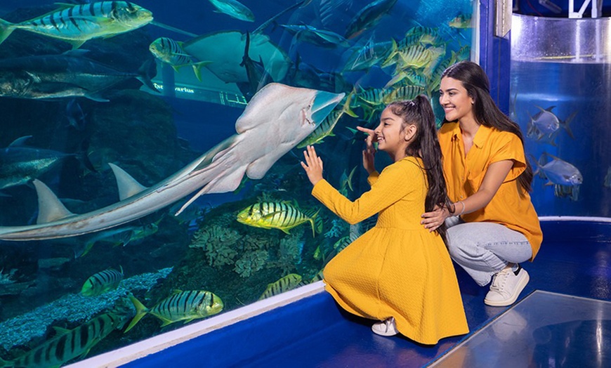 Image 2: Explore World’s Largest Suspended Acrylic Aquarium Inside Dubai Mall
