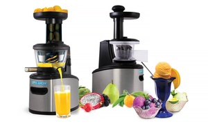 Viatek Life Juicer with Frozen Fruit Attachment | Groupon