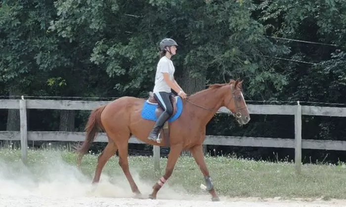 One Private Lesson, or Semi-Private Lesson for Two or Three People, at All In Stride Equestrian Center (Up to 56% Off) - Primary Image