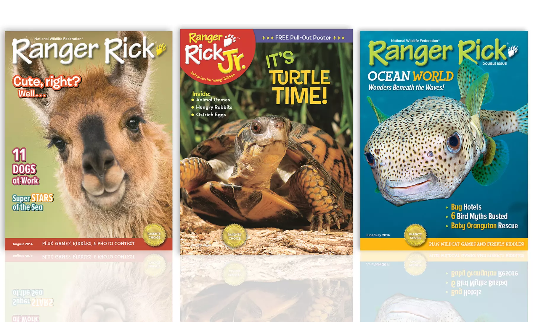 1-Year Subscription to Ranger Rick or Ranger Rick Jr. Magazine (10 Issues) - Primary Image
