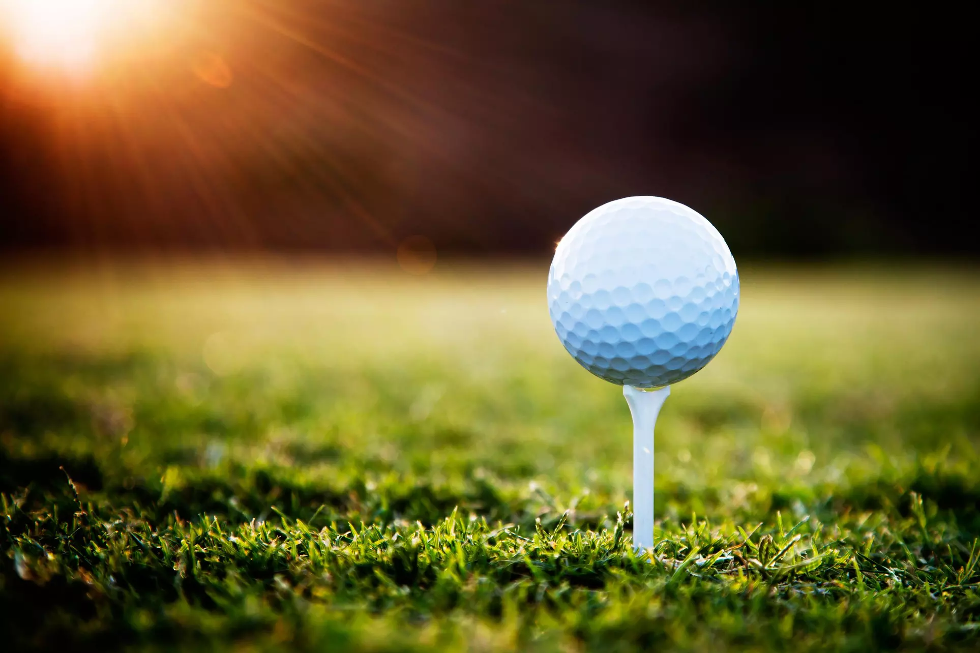 A Golf Lesson from Paul Wilson Golf School - Lead Instructor Pete Mitchell (67% Off) - Primary Image