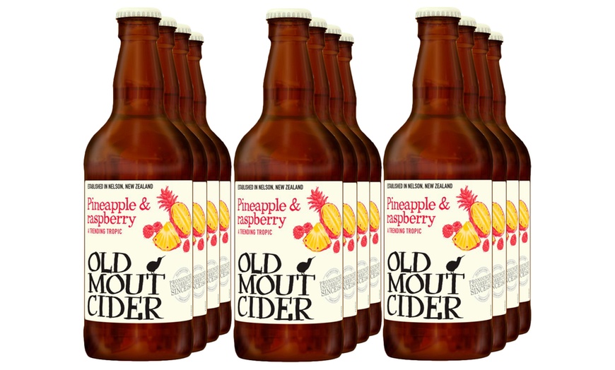 Image 4: 12 Bottles Old Mout Cider 500ml