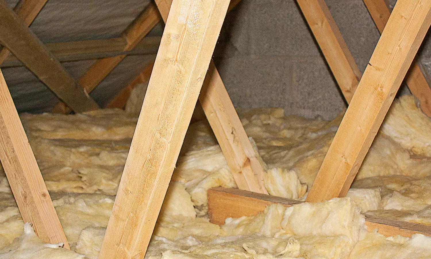$39 for Crawlspace Cleaning with Rodent Evaluation from Alpine Specialty Cleaning ($150 Value) - Primary Image