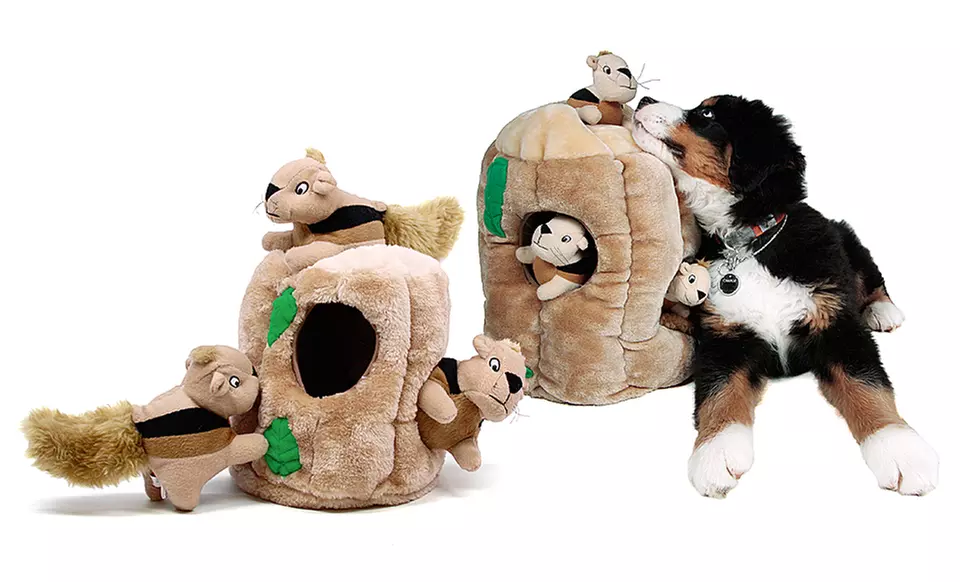 Kyjen Hide-A-Squirrel Dog Toy. Free Returns. - Primary Image