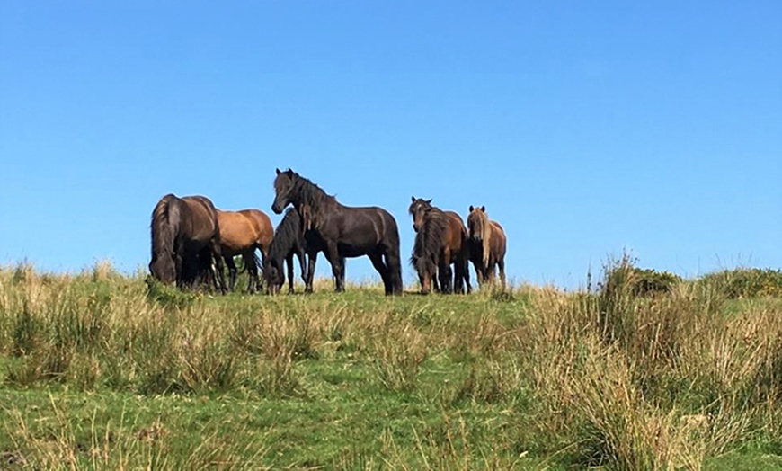 Image 6: Dartmoor: 1-2 Nights with Breakfast and Dinner Options