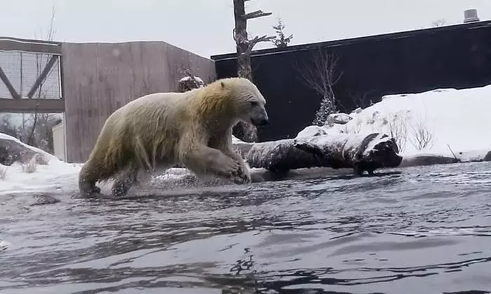Visit for Two or Four Adults or Two Adults and Two Children to the Buffalo Zoo (Up to 54% Off) - Primary Image