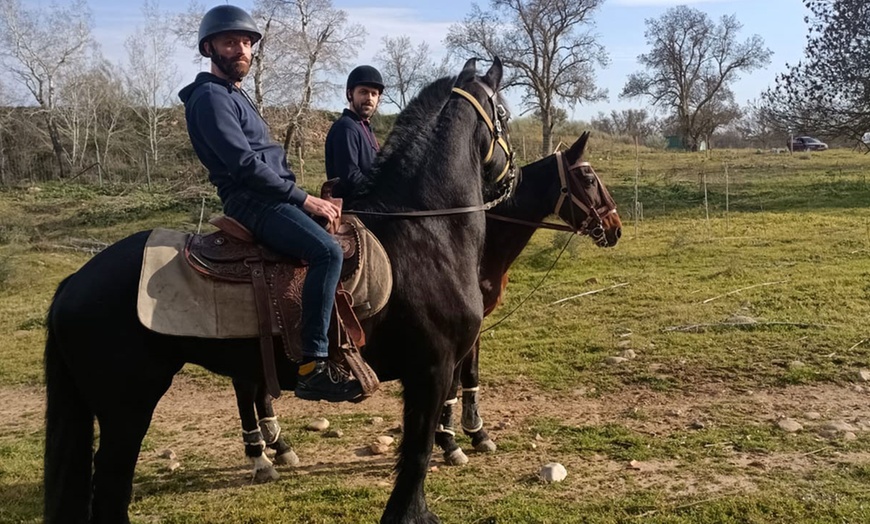 Image 4: Paseo a caballo de 1 hora con pincho y bebida para 2 o 4 personas