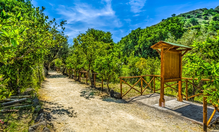 Image 10: Sicilia - Parco Gole dell'Alcantara