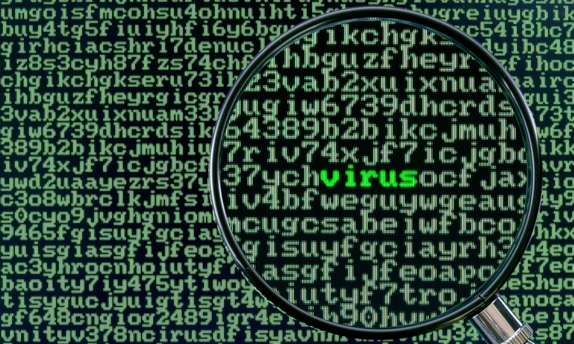 PC Cleanup and Virus Removal, or $20 for $45 Worth of Computer Repair and Services from Blue Screen Computer Repair - Primary Image