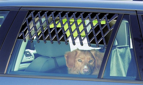 1 o 2 recinti per animali per finestrino auto