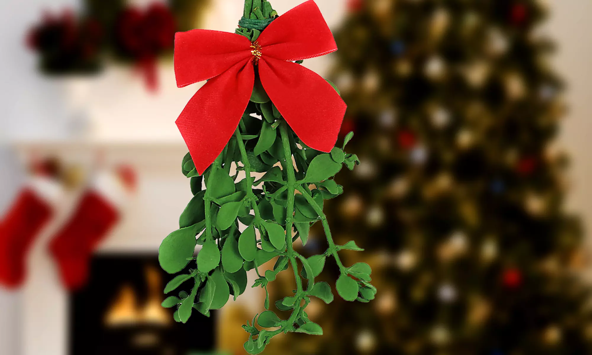 Live Mistletoe Bunch - Primary Image