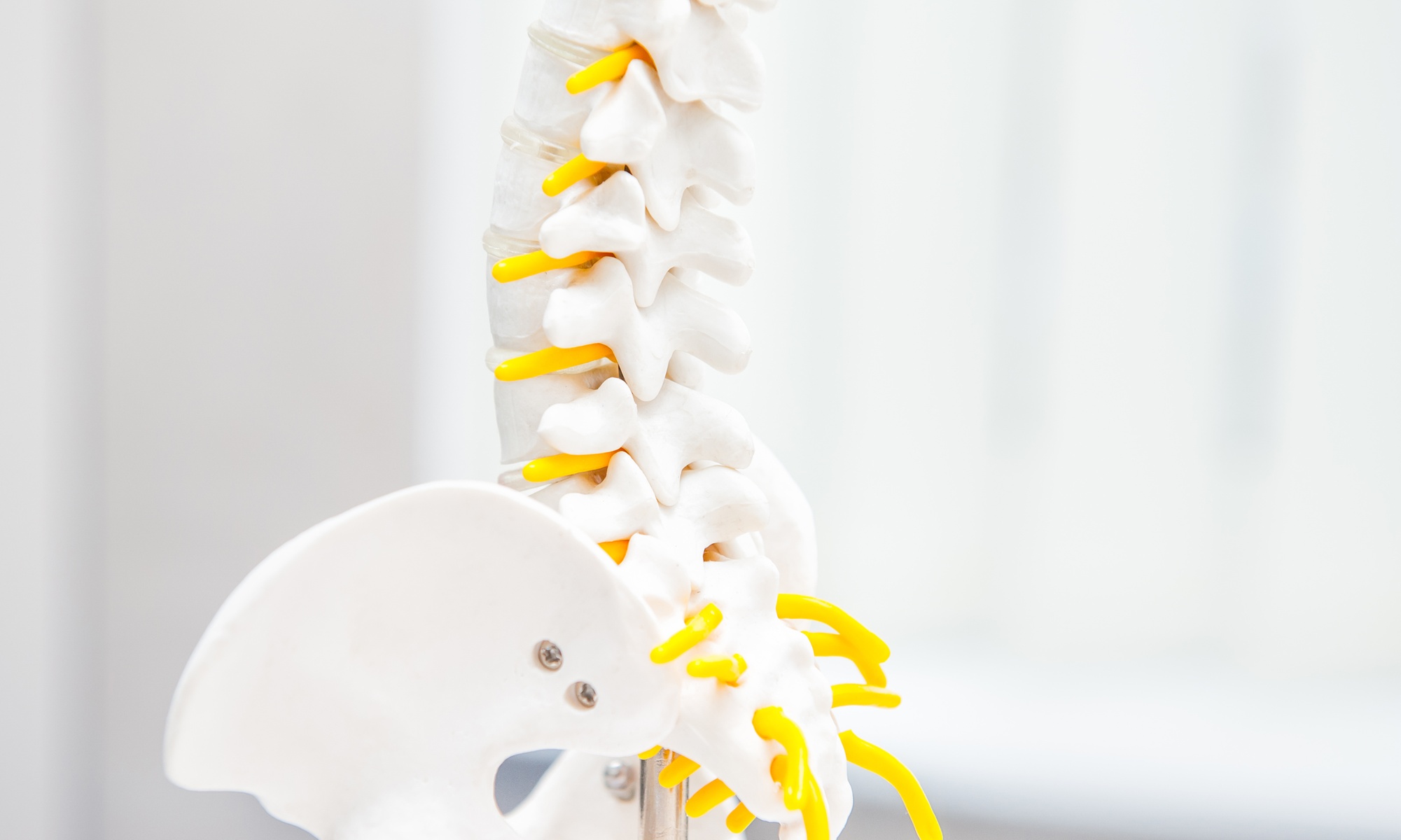 Relieve Back Pain: Chiropractic Exam and Spinal Decompression 