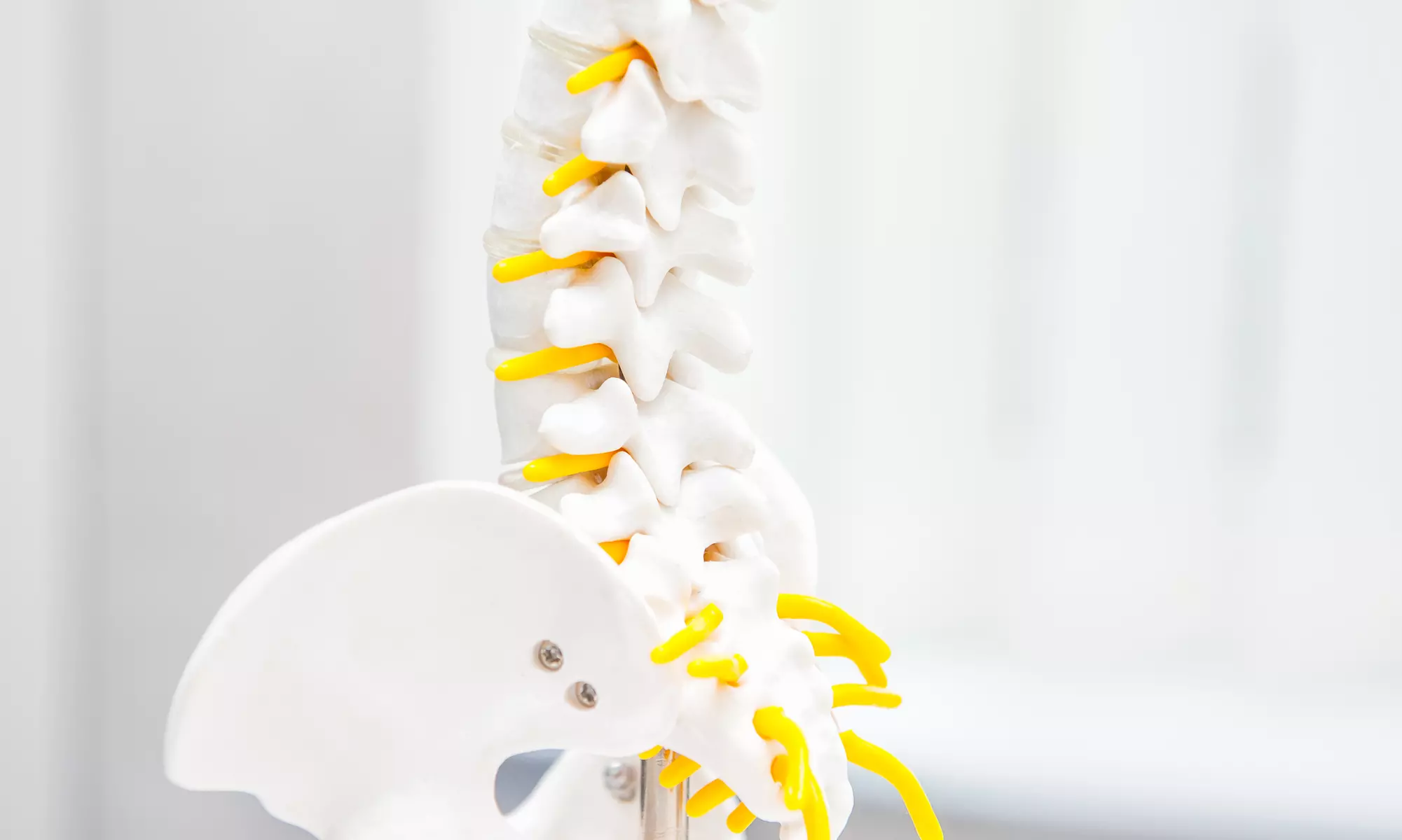 Improve Mobility with Spinal Decompression Treatment at Tri-County Chiropractic of Exton (Up to 83% Off) - Primary Image