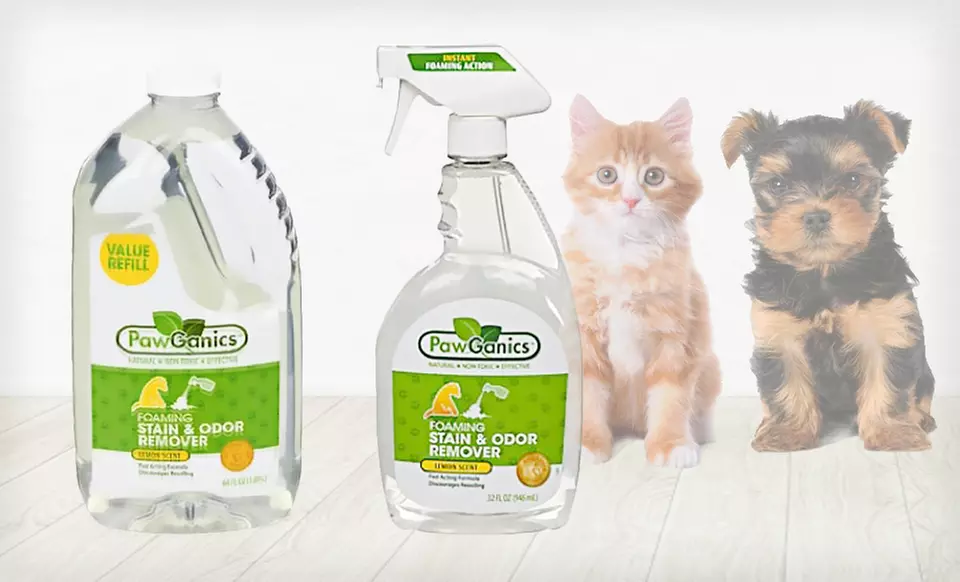 $22 for PawGanics Foaming Stain & Odor Remover and a Refill ($27.98 List Price). Free Shipping and Free Returns. - Primary Image