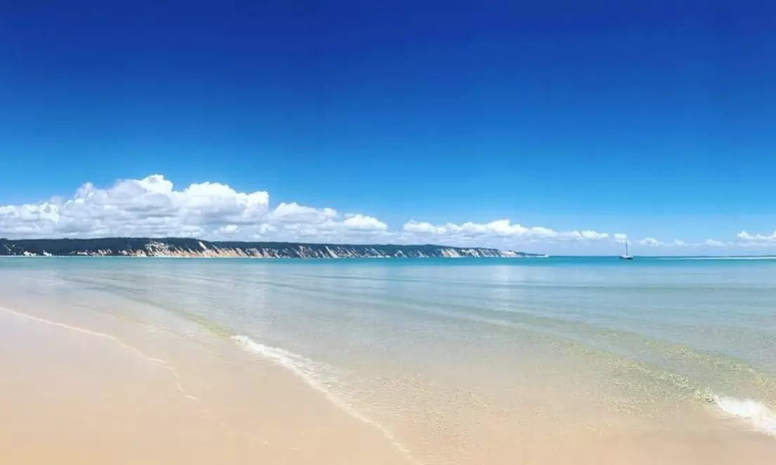 Dolphin-View Kayak Tour or Private Day Tour to Double Island Point