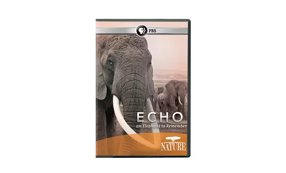 Echo: An Elephant to Remember. DVD or Blu-Ray From $9.99–$12.99 - Second Medium