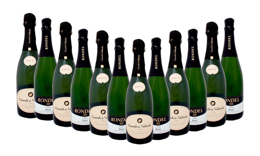 Image 2: 12 Bottles of Mixed Cava