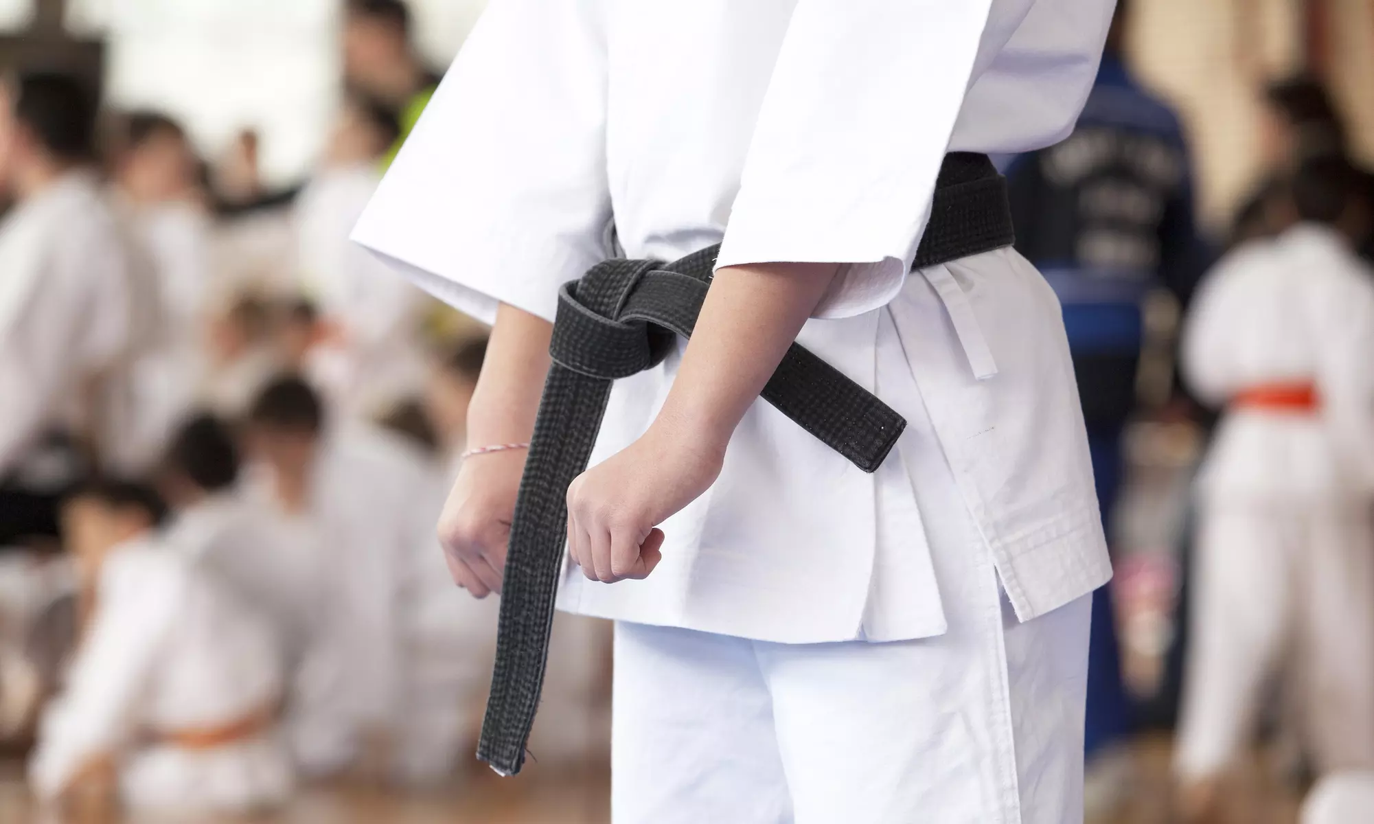 $24 for $95 Worth of Martial-Arts Lessons — Excel Taekwondo Academy - Primary Image