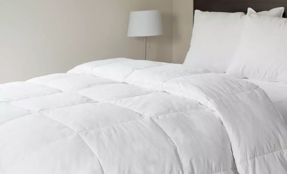 Lavish Home Cotton Down-Feather Comforters - Primary Image