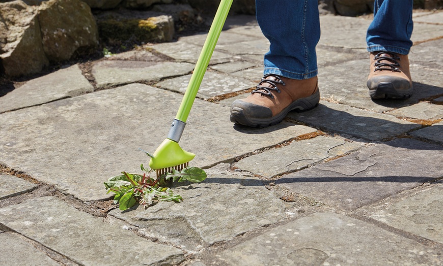 Image 3: Two-in-One Garden Brush