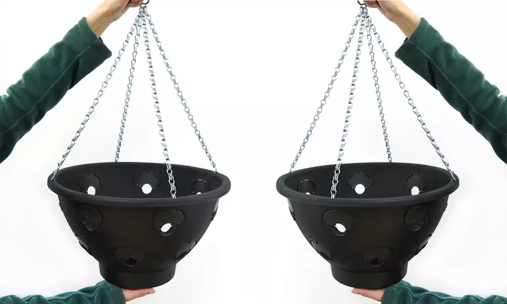 Garden Hanging Basket Collection