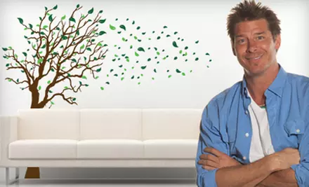 Wall Decals from Wall Spirit (67% Off). Two Options Available. - Primary Image