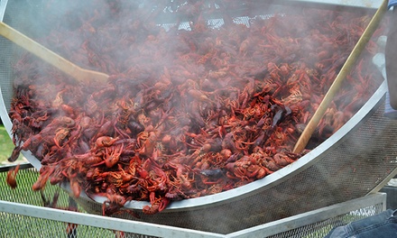 Single-Day General-Admission Ticket - Crawfish Festival in Fountain Valley, CA
