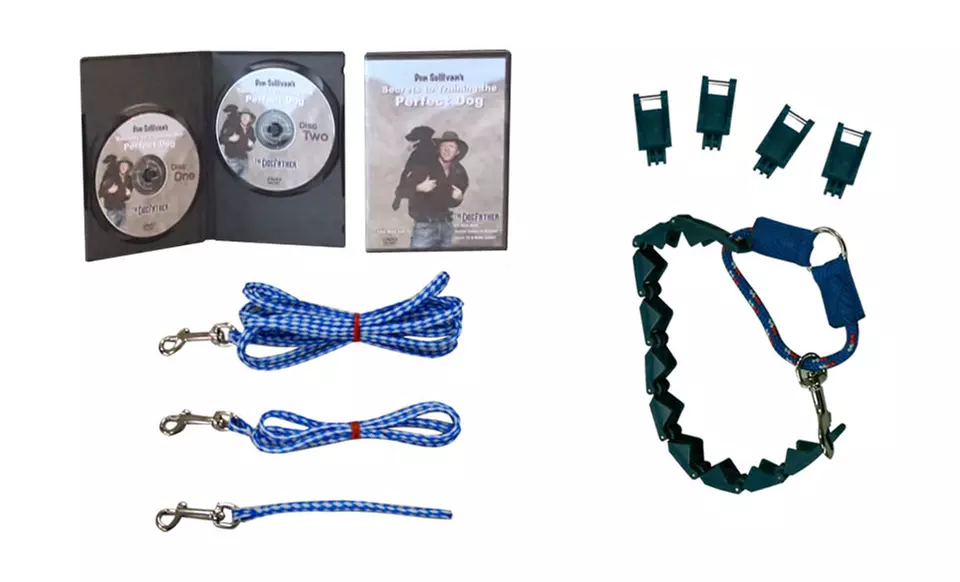 Perfect Dog Command Collar (Large) - Primary Image