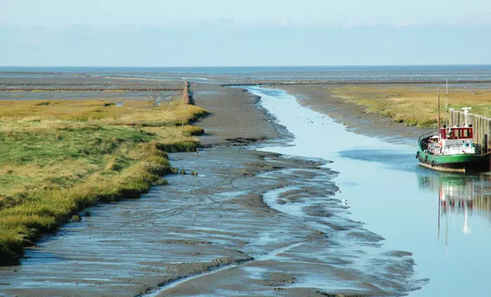 Pieterburen: 2-4 Tage für Zwei inkl. Frühstück, Begrüßungsgetränk, Wellness im Hotel Waddenweelde ab 44 € - Primary Image