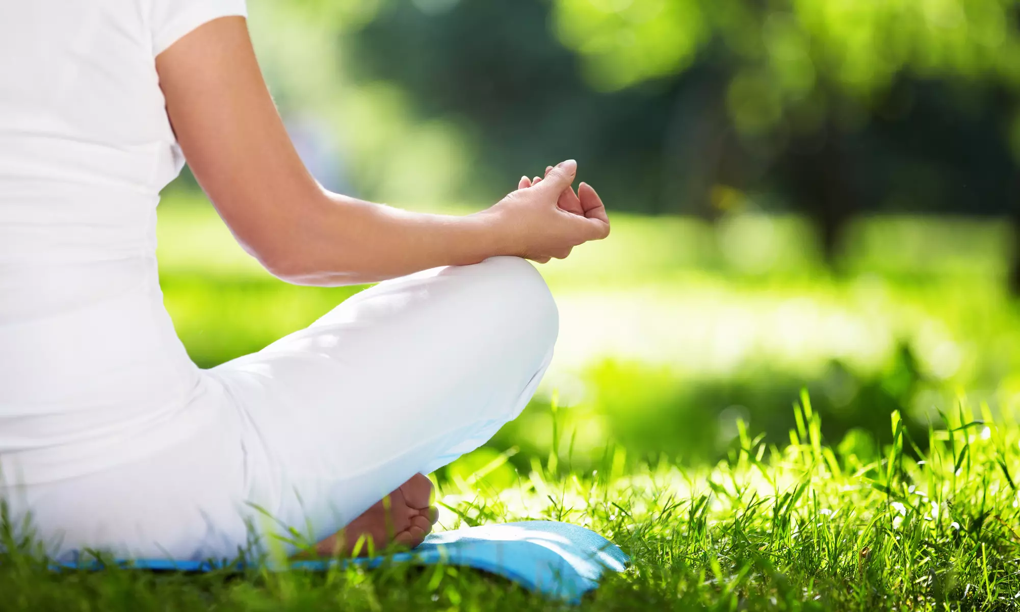 15 Classes from UWS Yoga in the Park (73% Off) - Primary Image