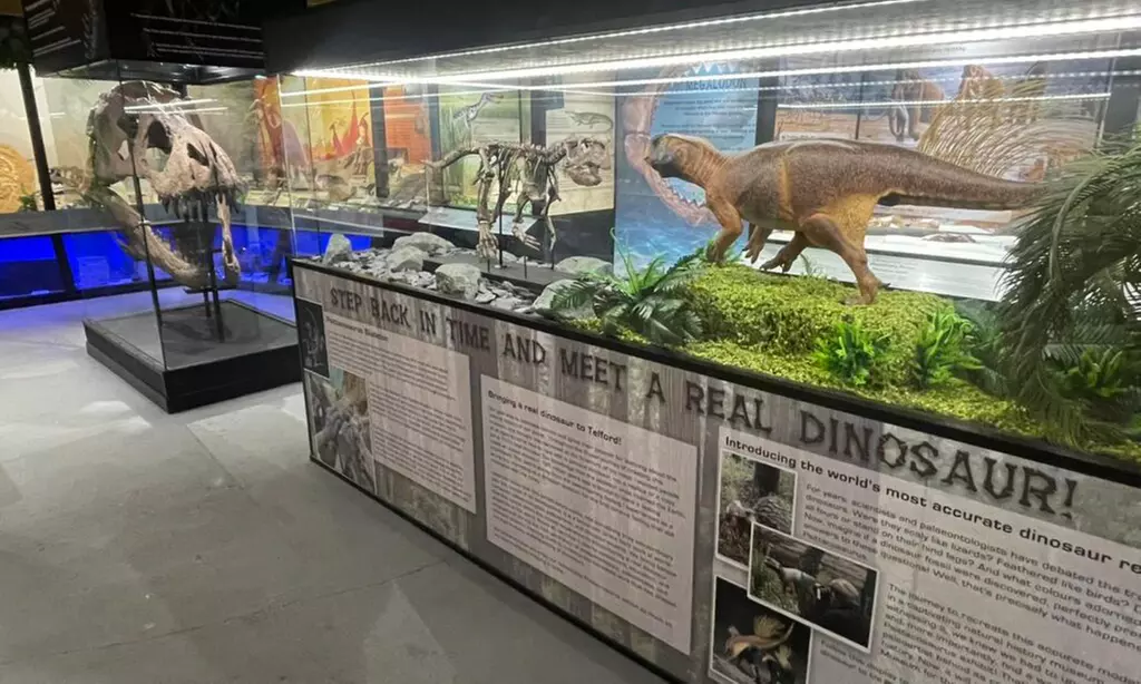 Embark on a Wild Adventure at Up to 58% Off at Exotic Zoo!