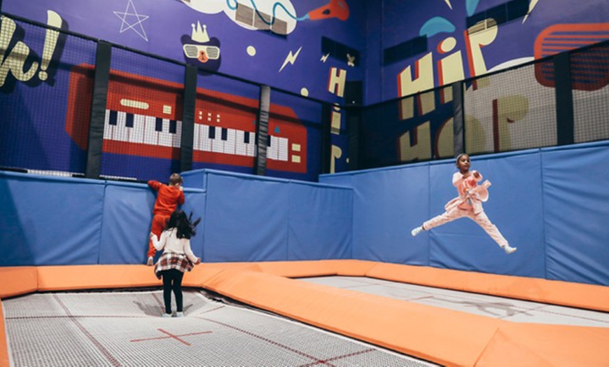 Image 2: Trampoline Park Access