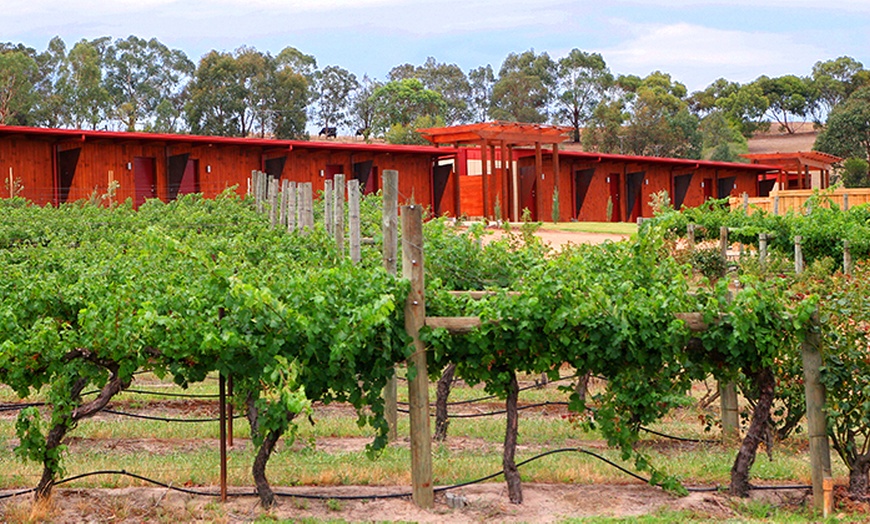 Image 4: Yarra Valley: Vineyard Escape