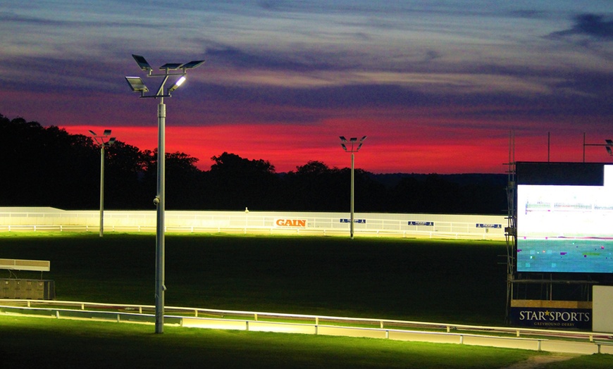 Image 9: Dog Race Entry and Meal with Drink at Towcester Racecourse