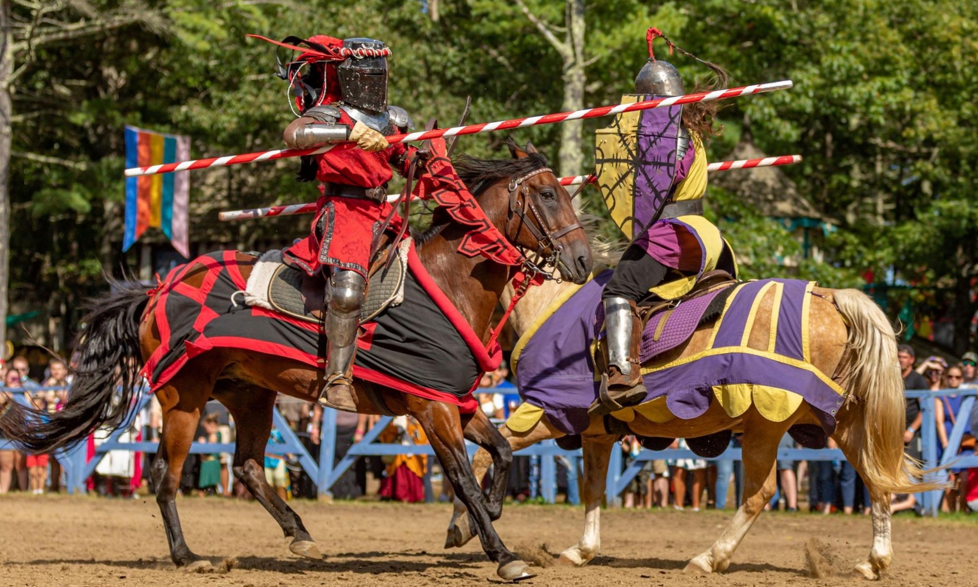 Discover the charm of King Richard's Faire 2025