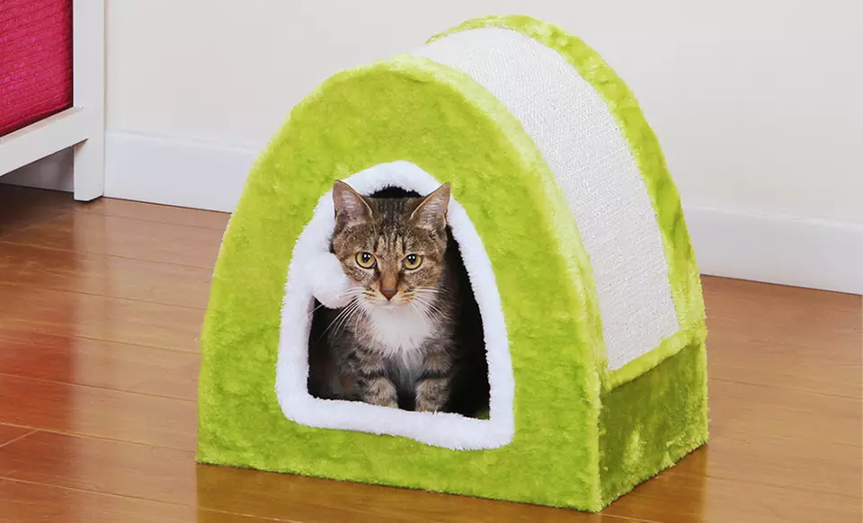 Colorful Pet Scratch Boxes - Primary Image