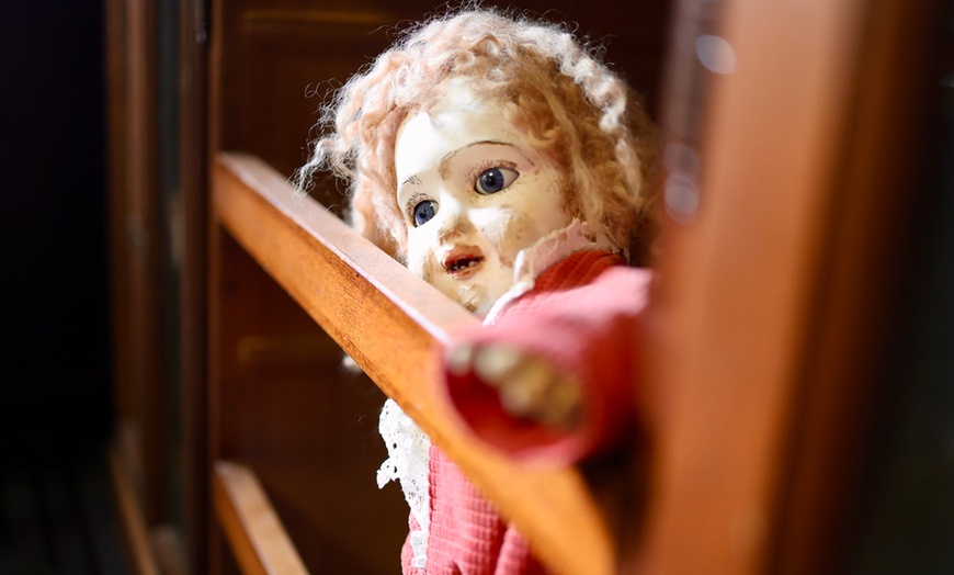 Image 1: Explore Museum of Curiosities with One, Two or Four Tickets 