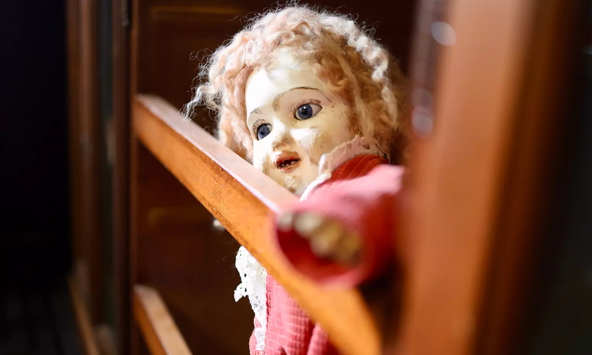 Explore Museum of Curiosities with One, Two or Four Tickets