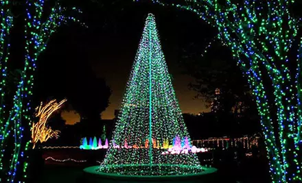 $17 for Garden Lights, Holiday Nights Show for Two at the Atlanta Botanical Garden (Up to $34 Value) - Second Medium