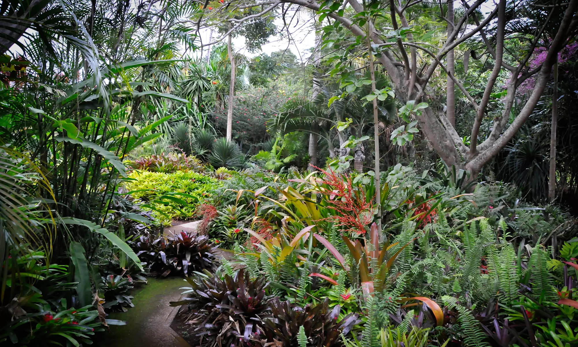Two or Four One-Week Botanical Garden Passes at Botanical World Adventures (Up to 62% Off) - Primary Image