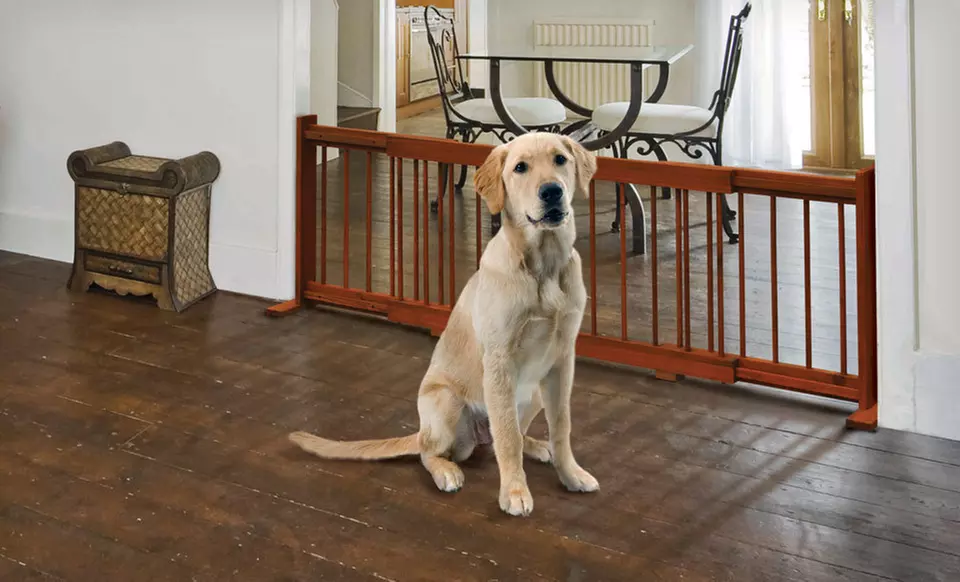 Expandable Wooden Pet Gate - Primary Image