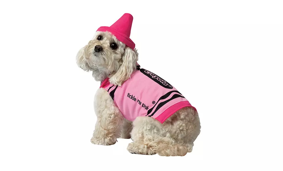 Crayola Crayon Pet Costumes - Second Medium